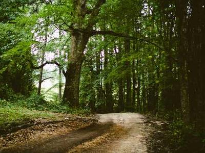 tv1988影院-纪录片片段