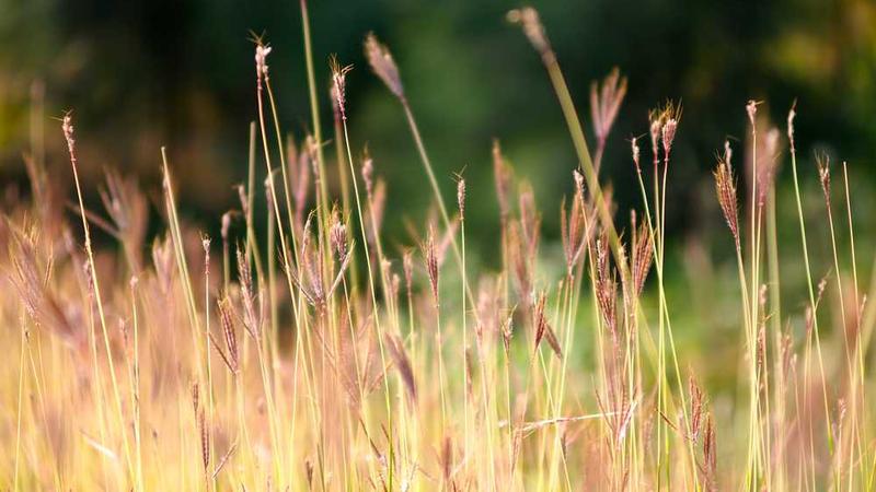 tv1988影院-音乐MV片段